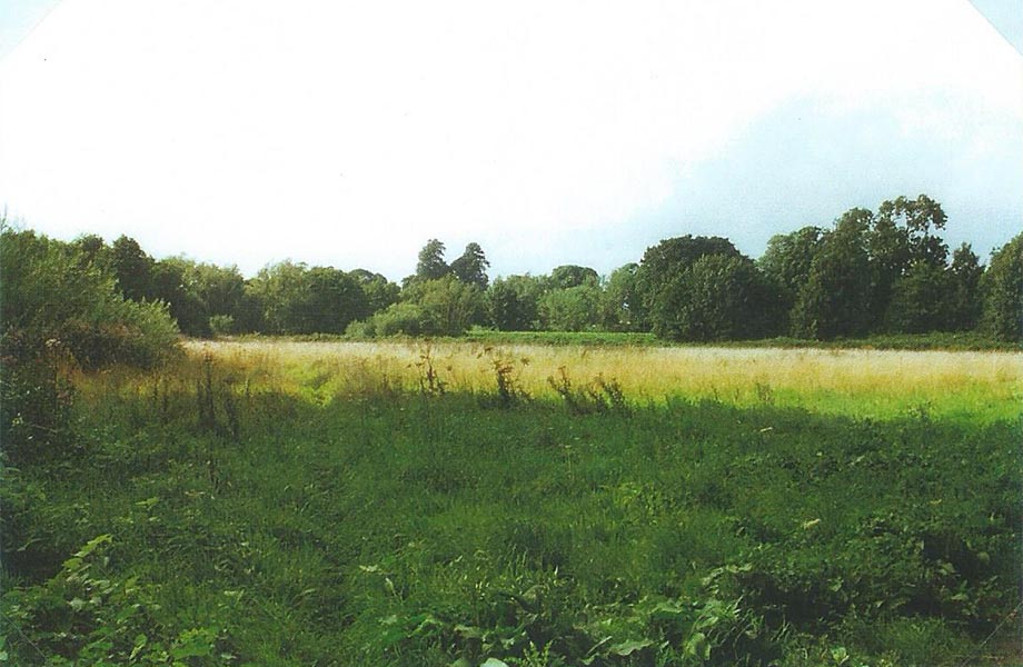 Llandaff Meadow circa 1999 Llandaff Meadow circa 1999